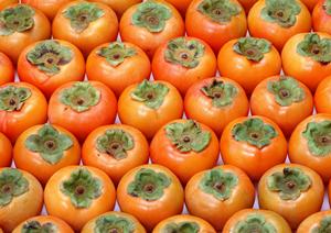 ウイスキーを買うなら信濃屋がおすすめ